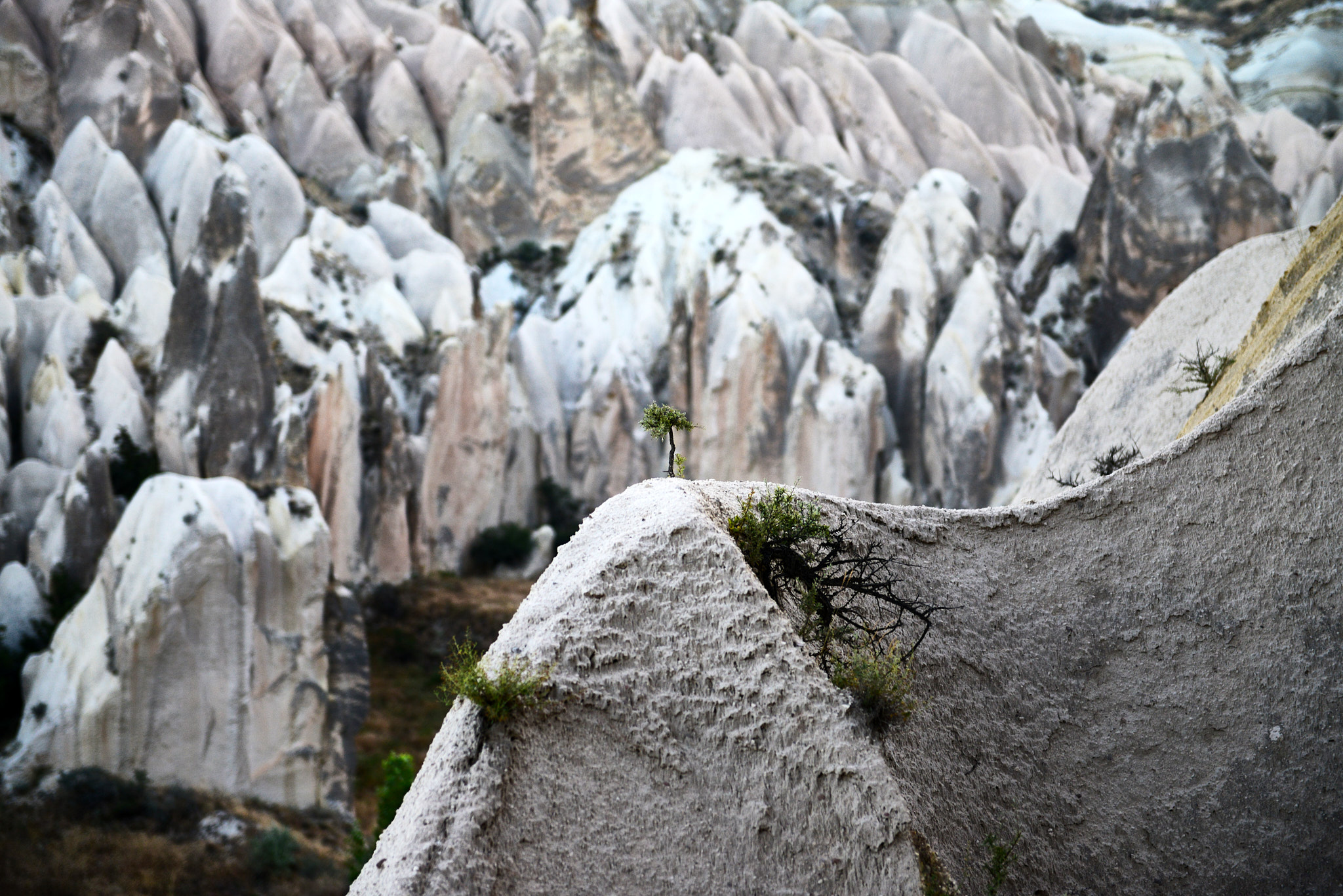 257 카파토키아 괴레메 열기구